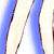 Sailor Star Ocean