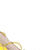 Sailor Star Force